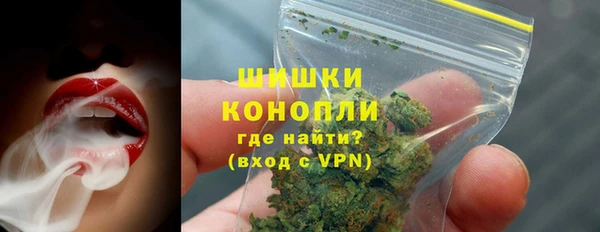 спиды Богородск