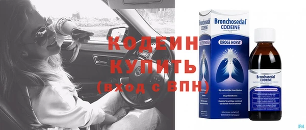 a pvp Бородино