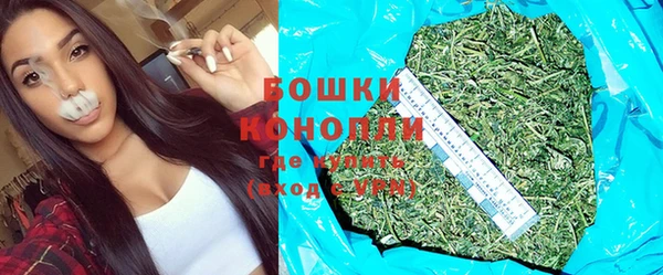 мдпв Бронницы