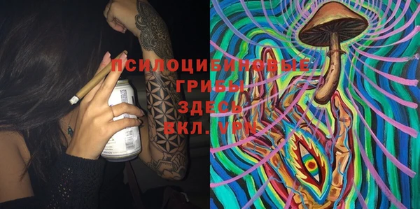 мдпв Бронницы