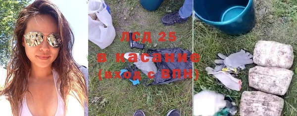 a pvp Бородино