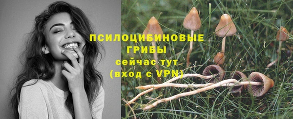a pvp Бородино