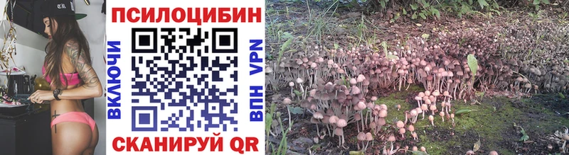 закладки Городец Псилоцибиновые грибы Magic Shrooms