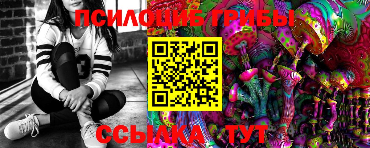 Городец  Галлюциногенные грибы ЛСД  Вход с VPN  где можно купить наркотик  Псилоцибиновые грибы прущие грибы 