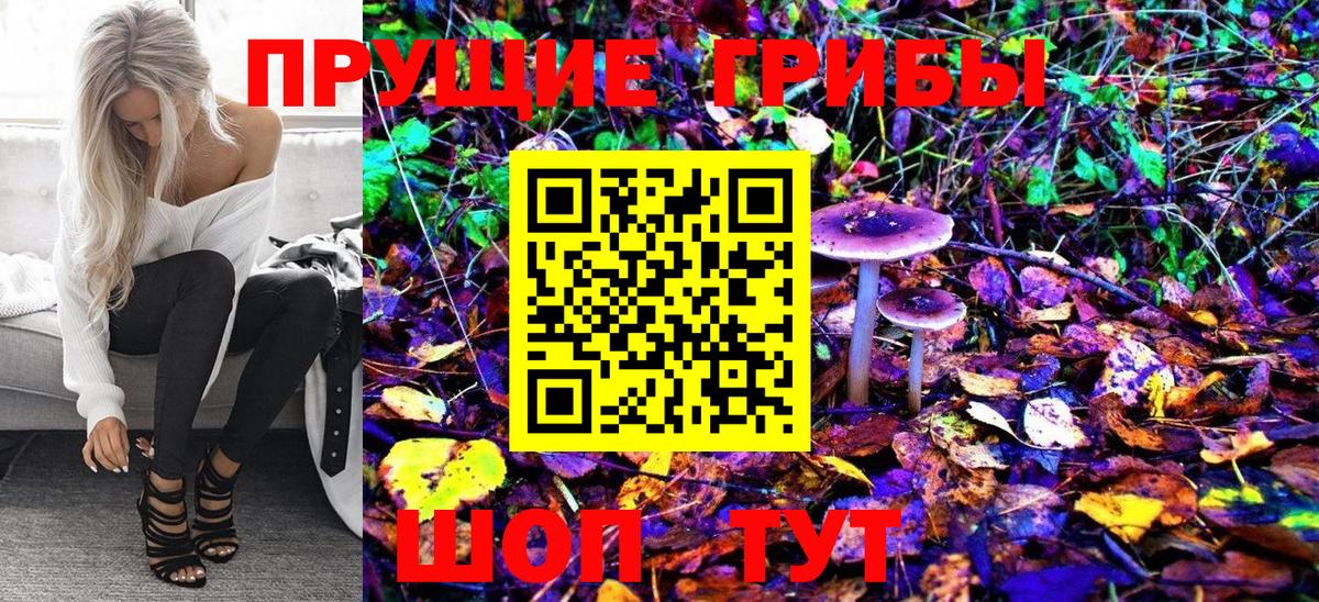 Галлюциногенные грибы Cubensis  Городец  Псилоцибиновые грибы Psilocybe 