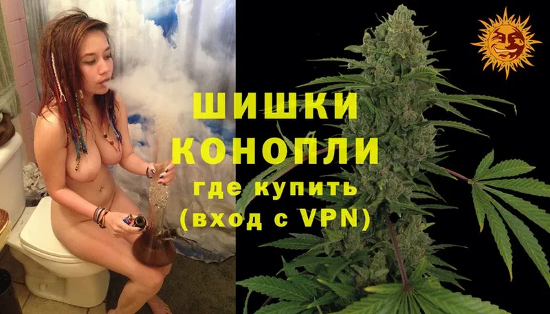 Марихуана SATIVA & INDICA  цены наркотик  Городец 