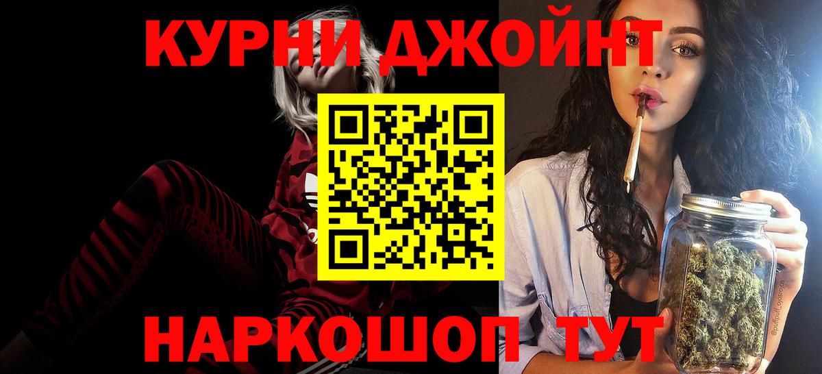 Конопля сатива Городец